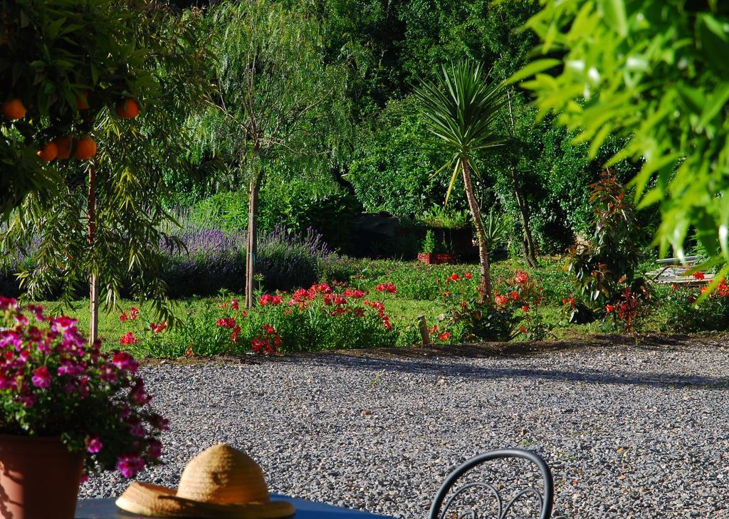 Agriturismo Coppi Rossi Torrazza  Dış mekan fotoğraf